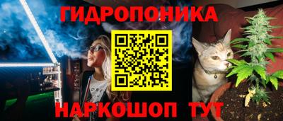бошки Тула