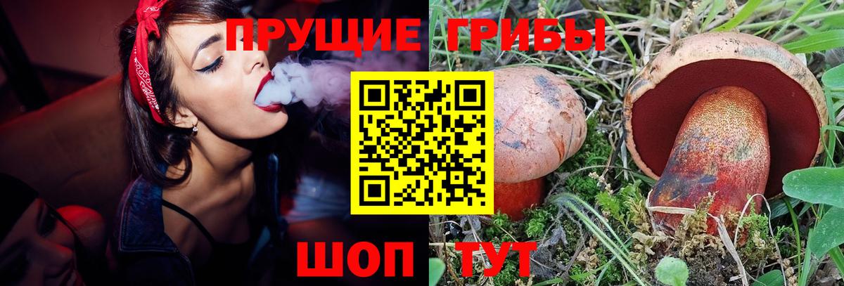 Нижний Новгород  Псилоцибиновые грибы мицелий  Вход с VPN 